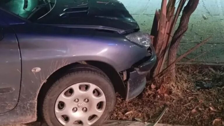 Conducía alcoholizado y chocó contra un árbol: terminó hospitalizado
