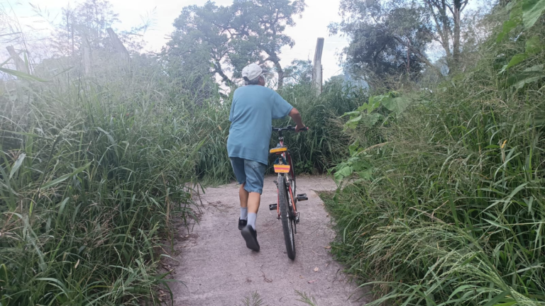 Abandono en Los Molinos: vecinos circulan entre la maleza