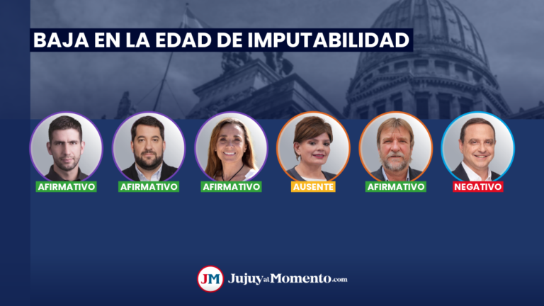 Baja la edad de imputabilidad a 14 años: la votación de los diputados por Jujuy