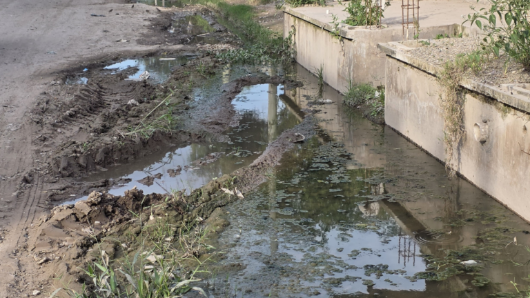 Barrio Alberdi con inundaciones crónicas, agua estancada y contaminación