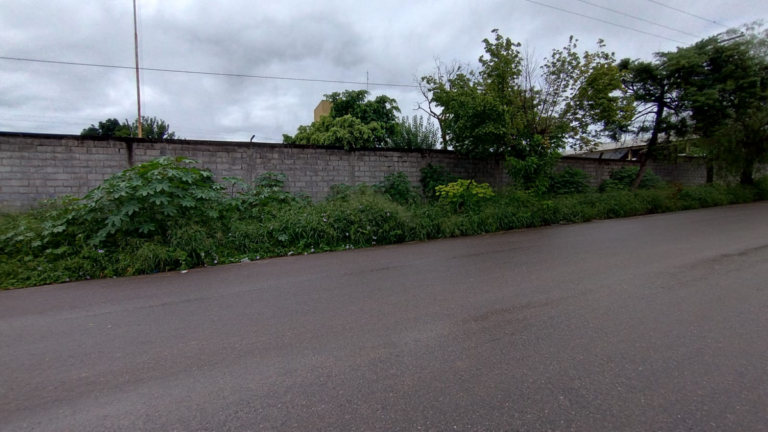 Escuela de Palpalá con el mismo problema de cada año: falta desmalezamiento