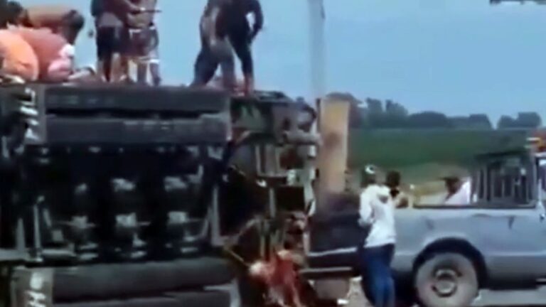 Tragedia en Ruta 8: volcó un camión con ganado, murió el conductor y hubo faena en la banquina