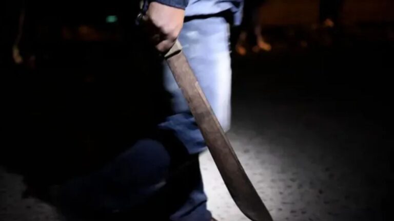 Robo, fuga y tensión: se atrincheró en un techo con un machete y terminó detenido