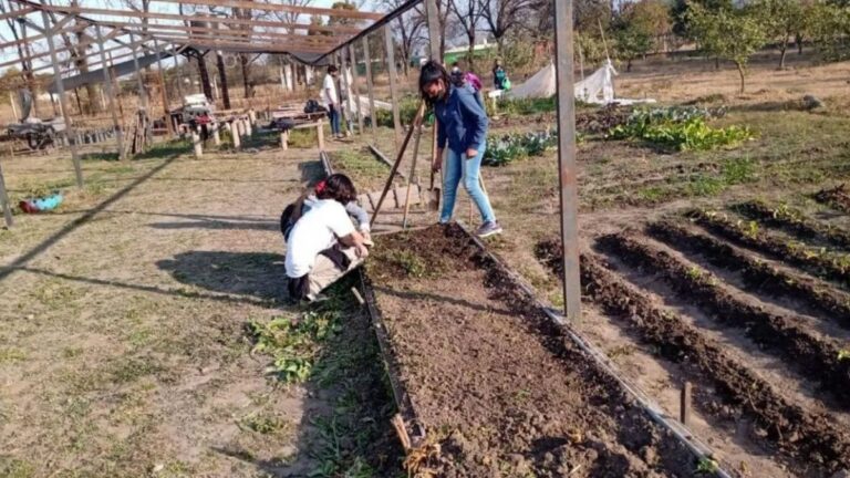 Graves denuncia en agrotécnicas de Jujuy: «Hace 33 años pedimos mejoras y no hay respuestas»