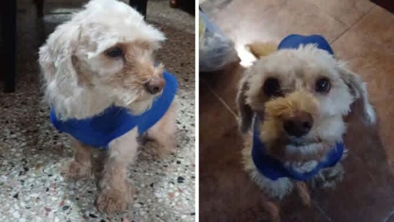 Barrio San Pedrito: «Chinito» sigue sin aparecer