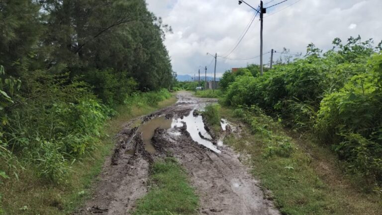 Vecinos de Palpalá denuncian abandono municipal: calles destruidas, maleza y falta de iluminación