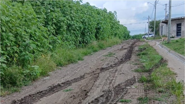 Calles de barro y malezas reflejan el olvido municipal en Alto Comedero