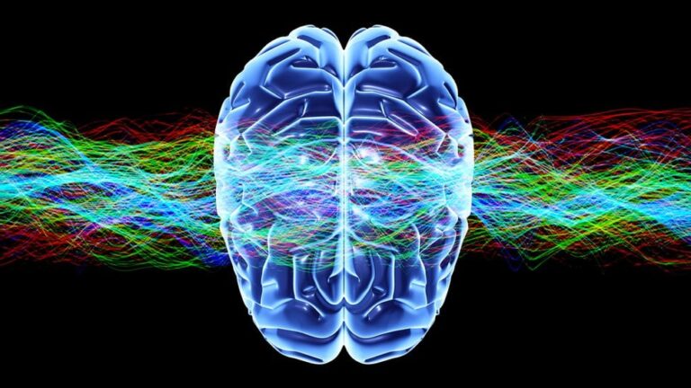 Una neurocientífica canadiense explica qué ocurre en el cerebro cuando el estrés se vuelve crónico