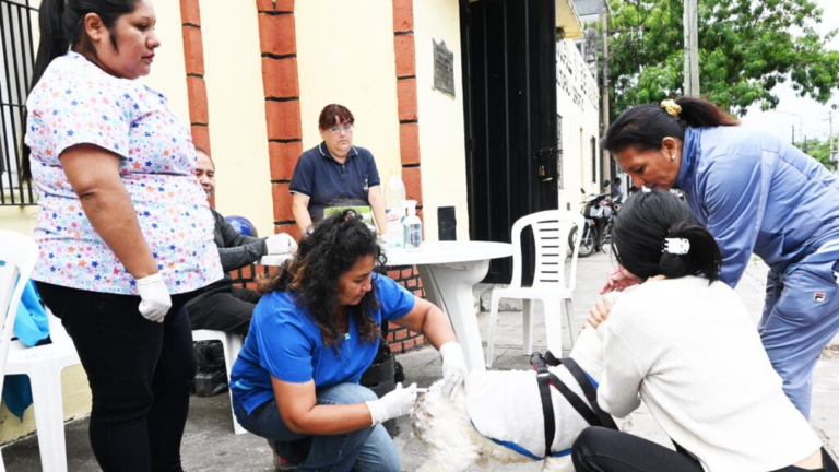 Semana de castración y vacunación antirrábica: los barrios que recorrerán