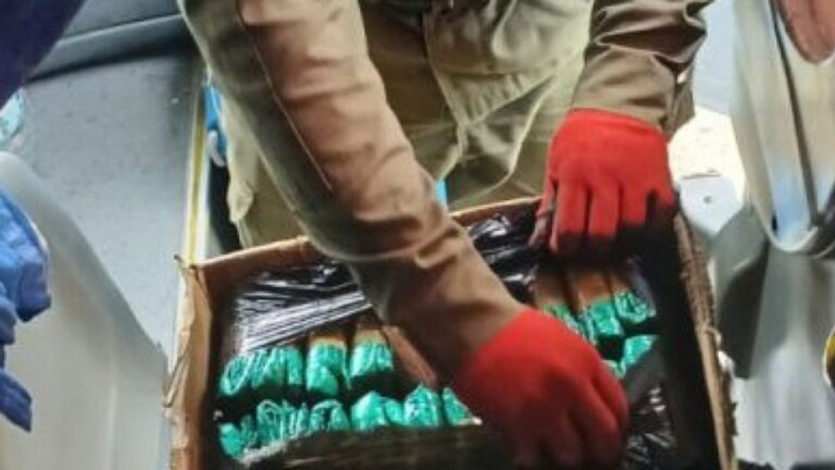 Jujeños descubiertos con 15 kilos de hojas de coca en un colectivo en La Rioja
