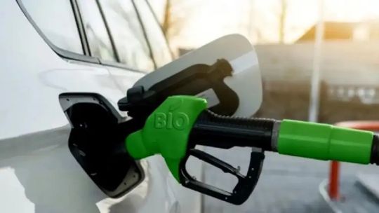 Argentina tiene una oportunidad en las bioenergías que hoy cubre el 12%