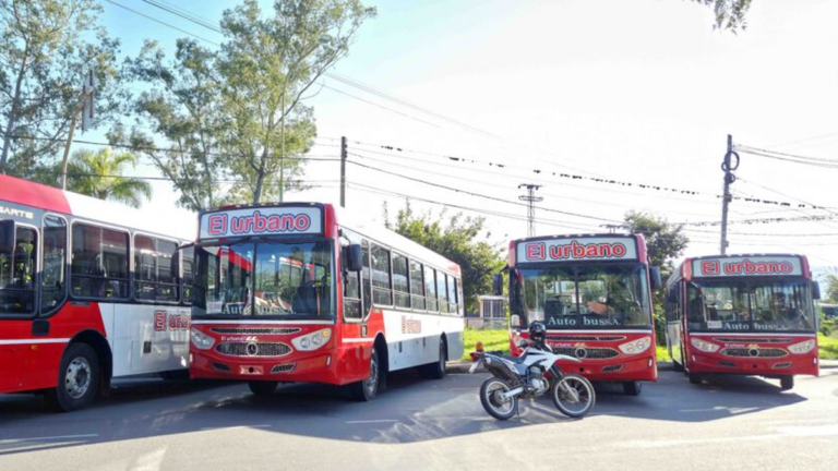 Anunciaron nuevos colectivos para reforzar los recorridos a Alto Comedero