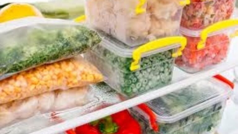 Ilustración de alimentos congelados y un termómetro, representando la importancia de la correcta conservación.
