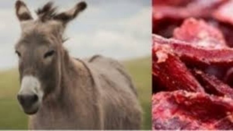 Productor Julio Cittadini junto a cortes de carne de burro en su emprendimiento de Trelew, Chubut.