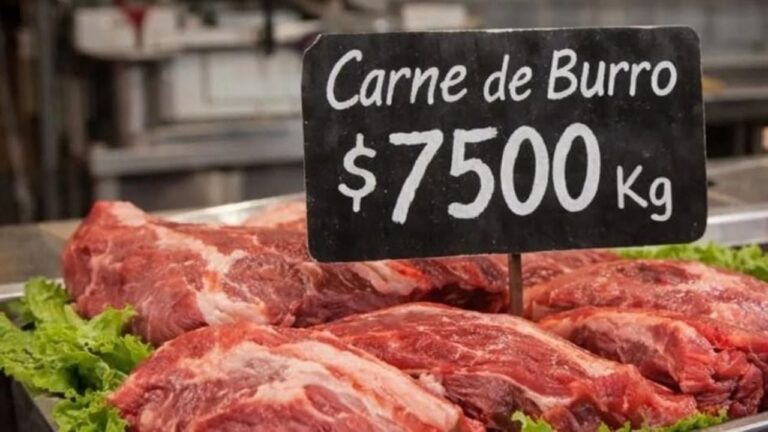 Productor muestra cortes de carne de burro en una carnicería de Trelew, Chubut.