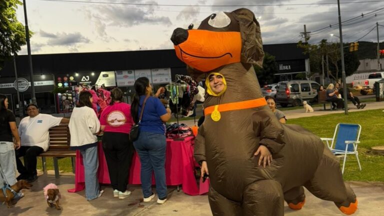 Mascota oficial del Club Salchicha Catamarca, una perra teckel llamada Trufa