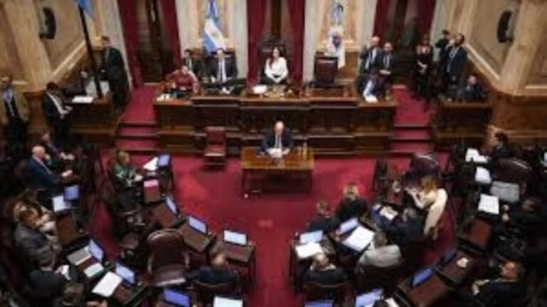 Sesión del Senado argentino debatiendo reforma de Salud Mental