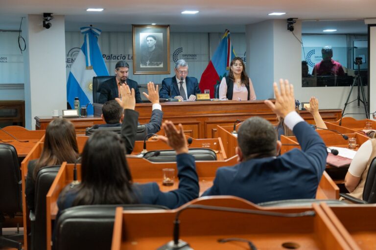 Sesión de la Cámara de Senadores de Catamarca en el recinto legislativo.