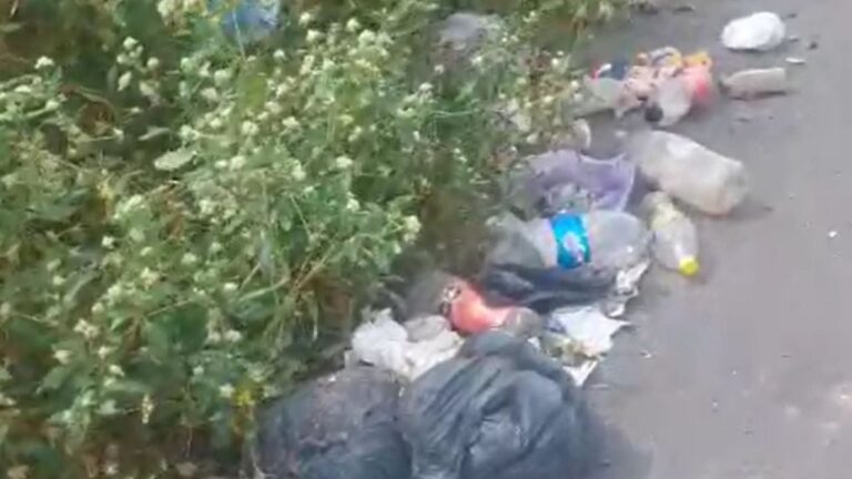 Imagen referencial de un espacio público con acumulación de residuos y maleza.