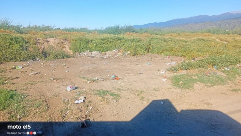 Ilustración de reporte ciudadano y gestión municipal en Catamarca
