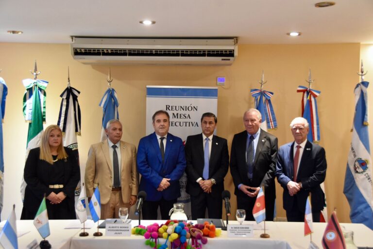 Vicegobernadores del NOA y NEA durante la reunión de la Junta Ejecutiva del Parlamento del Norte Grande en Jujuy.
