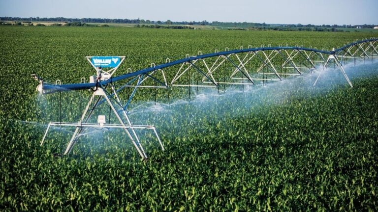 Campo de riego agrícola en Catamarca con sistema de bombeo