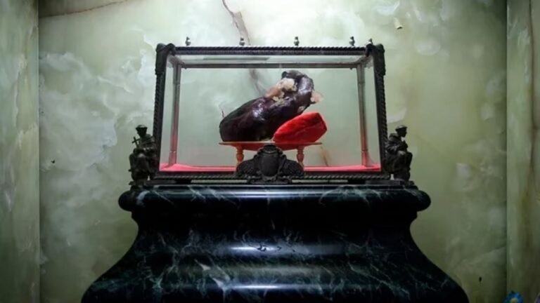 Relicario con el corazón de Fray Mamerto Esquiú en la Iglesia San Francisco de Catamarca