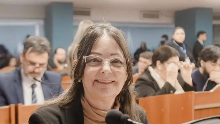 Sesión de la Cámara de Diputados de Catamarca durante la votación del proyecto contra la contaminación sonora