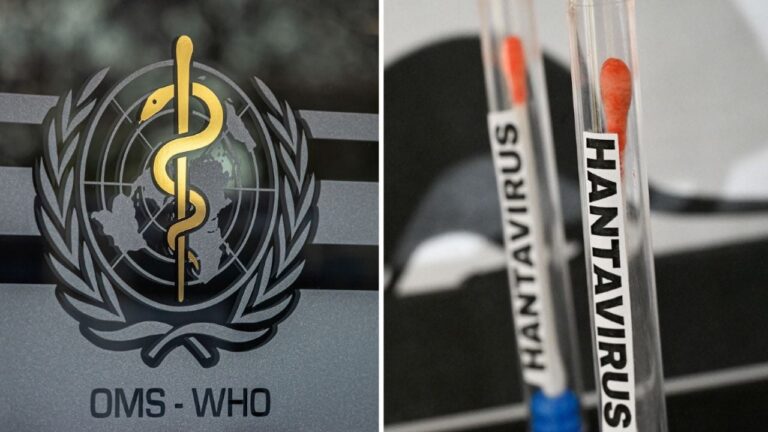 Logo de la Organización Mundial de la Salud (OMS) en un fondo azul