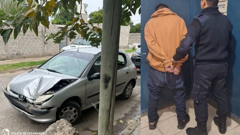 Automóvil Peugeot 206 gris chocado contra un árbol en la vereda del barrio Santa Marta, Catamarca