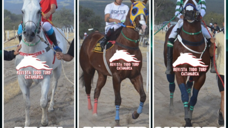 Caballos de carrera en el Hipódromo Catamarca durante el Gran Clásico Revancha