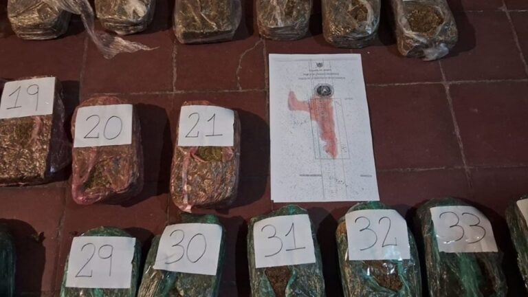 Paneles de marihuana secuestrados en allanamiento en Catamarca