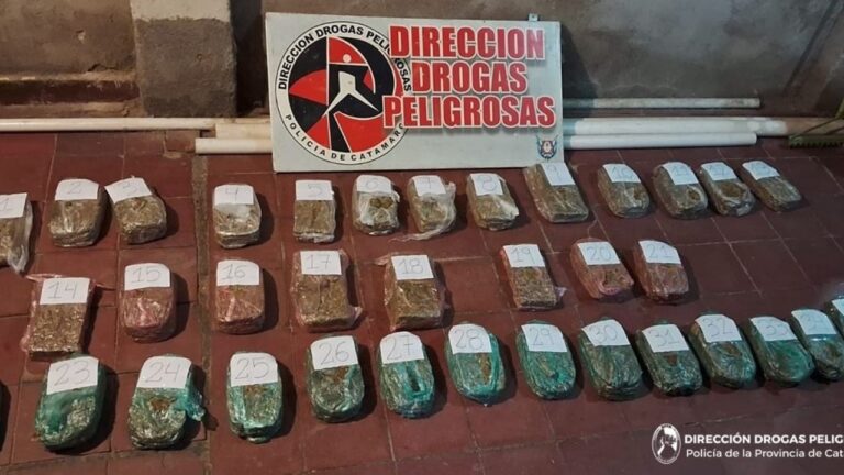 Paneles de marihuana secuestrados en allanamiento en Catamarca