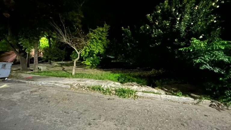 Plaza Aisa en La Chacarita con falta de mantenimiento y vegetación crecida