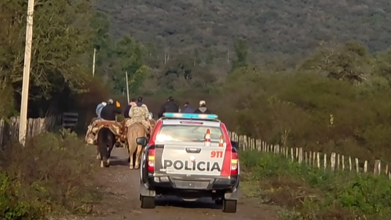 Vista general de un campo en el departamento Paclín, Catamarca, utilizado como escenario de un procedimiento por abigeato