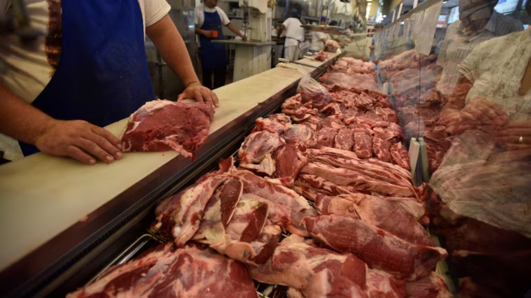 Gráfico de la caída del consumo de carne vacuna en el primer semestre de 2026