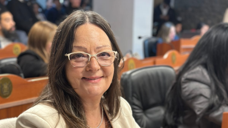 Sesión de la Cámara de Diputados de Catamarca