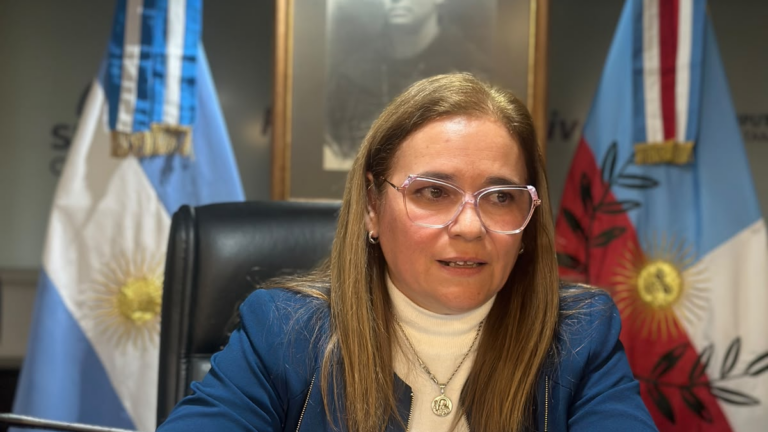 María de los Ángeles Herr en la Comisión de Salud de la Cámara de Diputados