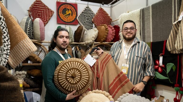 Stand de artesanías en la 55° Fiesta del Poncho en Catamarca