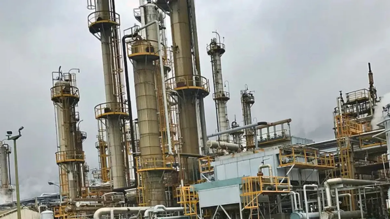 Planta de caucho sintético de Pampa Energía