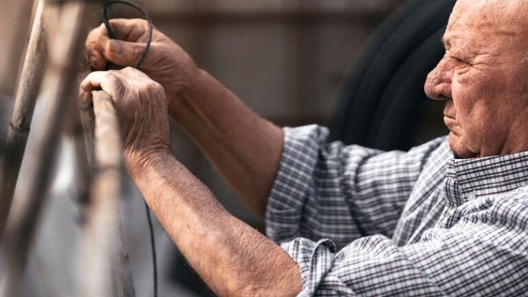 Personas mayores de 66 años en situación de búsqueda laboral