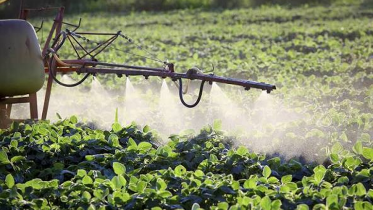 Campo con cultivos y maquinaria agrícola en zona rural