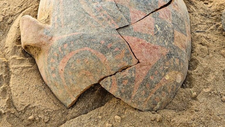 Fragmentos de vasijas cerámicas prehispánicas encontrados en Choya