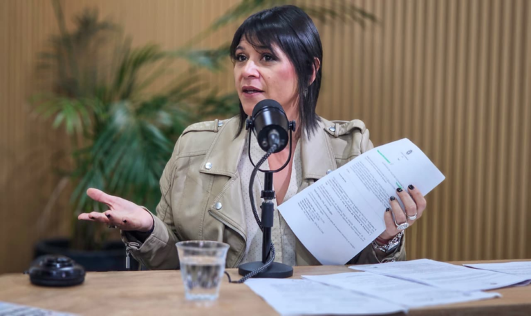 Natalia Herrera, diputada provincial de Generar, en una sesión legislativa