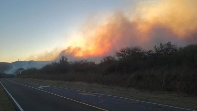 Incendio en ambos márgenes de la Ruta Provincial 4