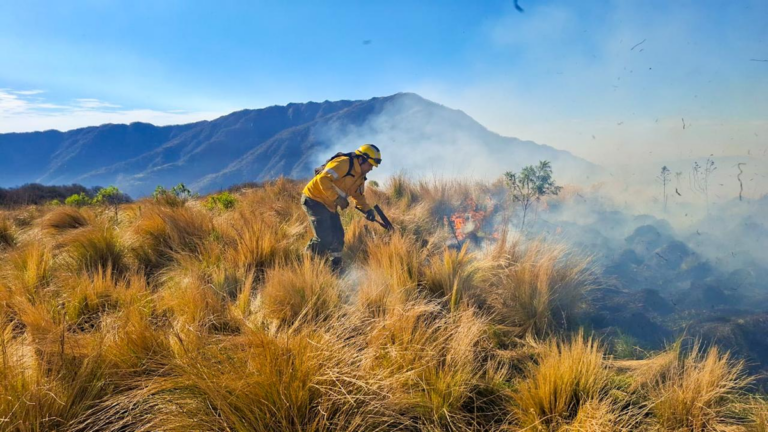 Incendio forestal en la provincia de Catamarca
