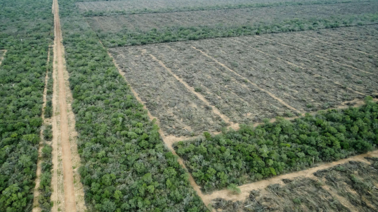 Gráfico con estadísticas de cumplimiento de compromisos ambientales en Argentina