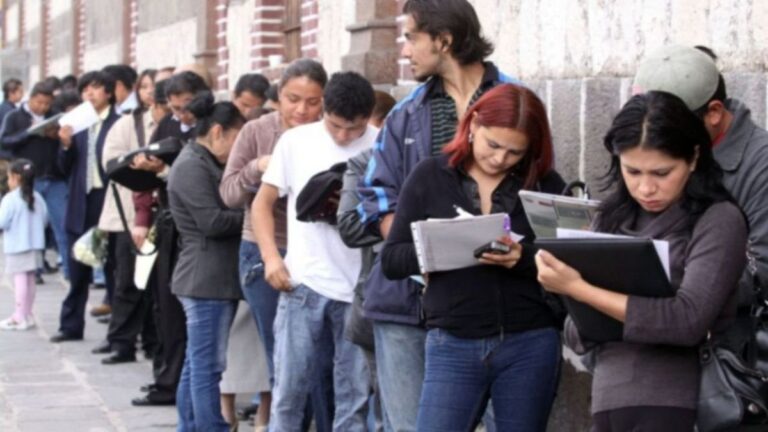 Gráfico con estadísticas de cierre de empresas y pérdida de empleo durante el gobierno de Javier Milei