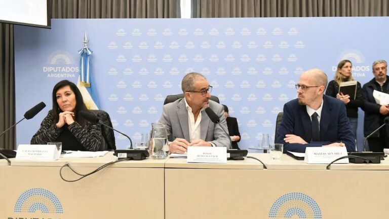 Sesión en la Cámara de Diputados de la Nación