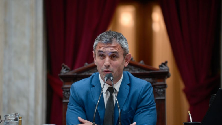 Martín Menem en la Cámara de Diputados